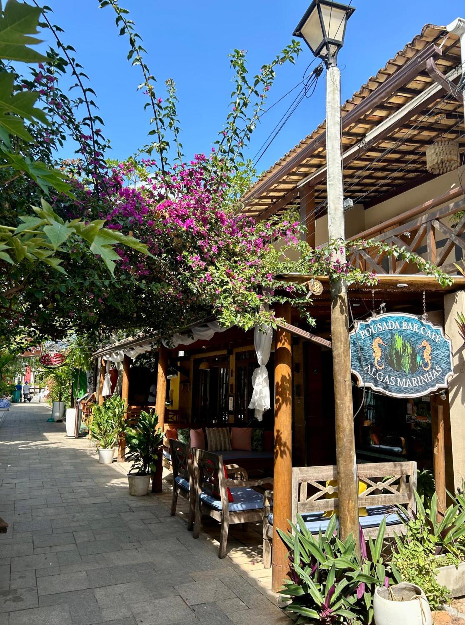 Estalagem Bar Cafe Algas Marinhas